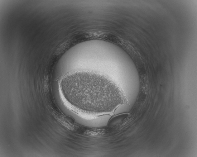 X0000082690563200702161727