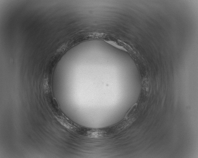 X0000082690564200702161727