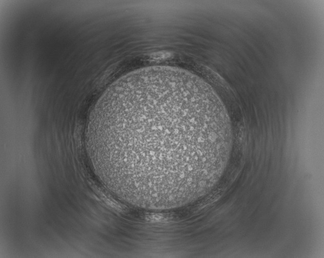 X0000082690565200702161727