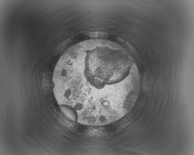 X0000082690569200702161727