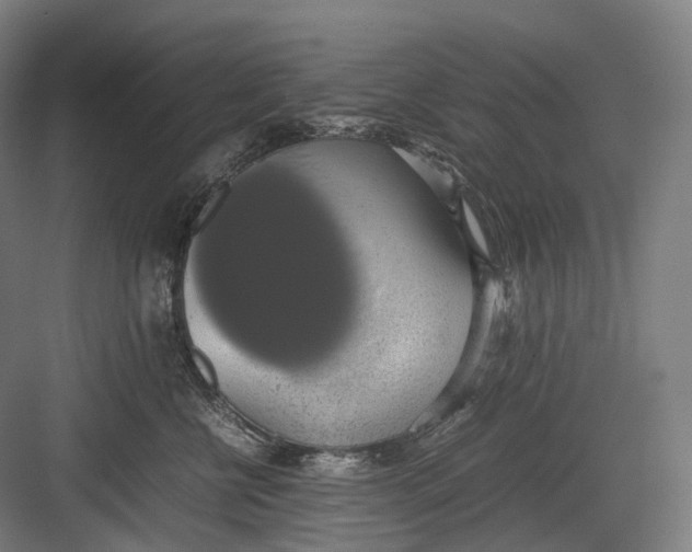 X0000082690570200702161727