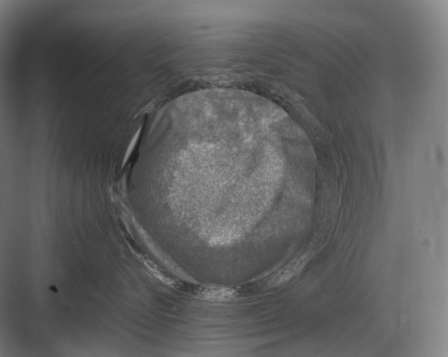 X0000082690576200702161727