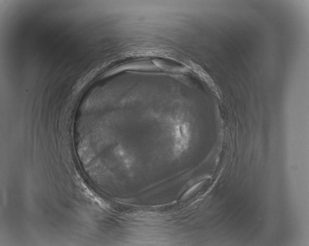 X0000082690577200702161726