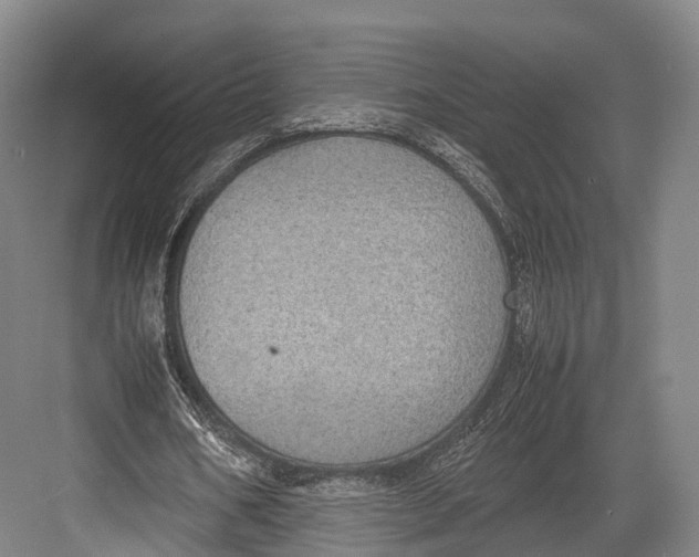 X0000082690578200702161726