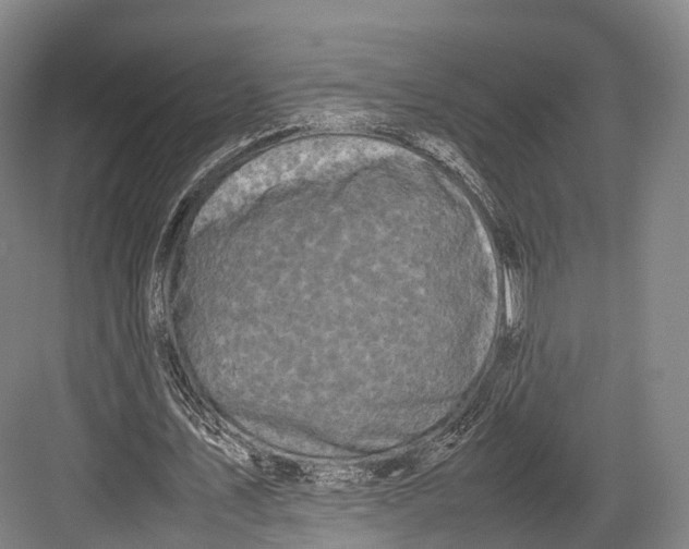 X0000082690579200702161726