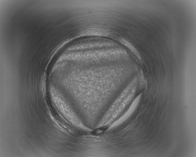 X0000082690580200702161726