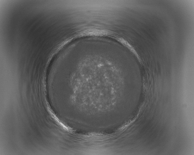 X0000082690581200702161726