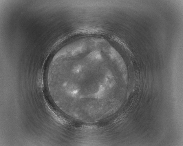 X0000082690582200702161726