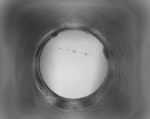 X0000082690583200702161726