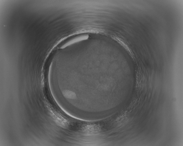 X0000082690584200702161726