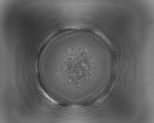 X0000082690585200702161726