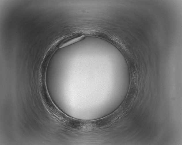 X0000082690587200702161726