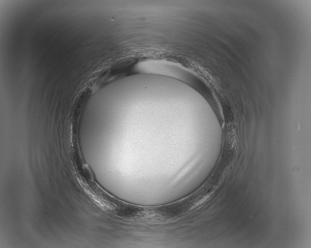 X0000082690589200702161726