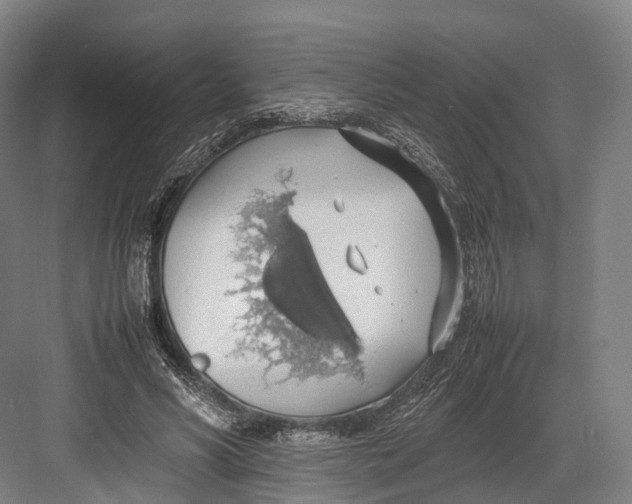 X0000082690590200702161726