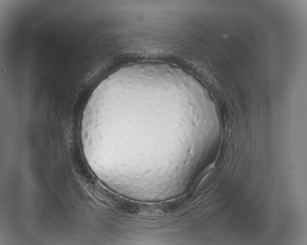 X0000082690591200702161726