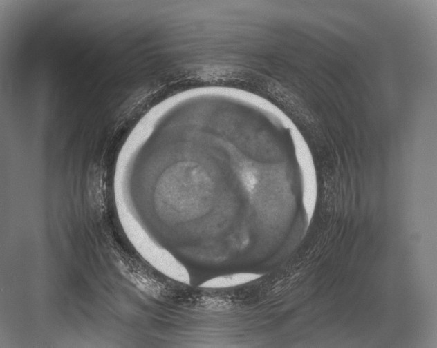 X0000082690592200702161726