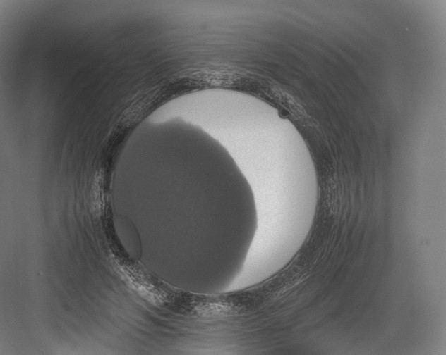 X0000082690594200702161726