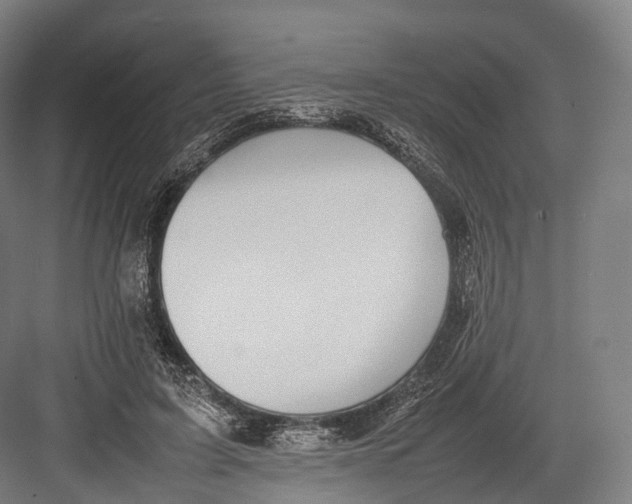 X0000082690595200702161726