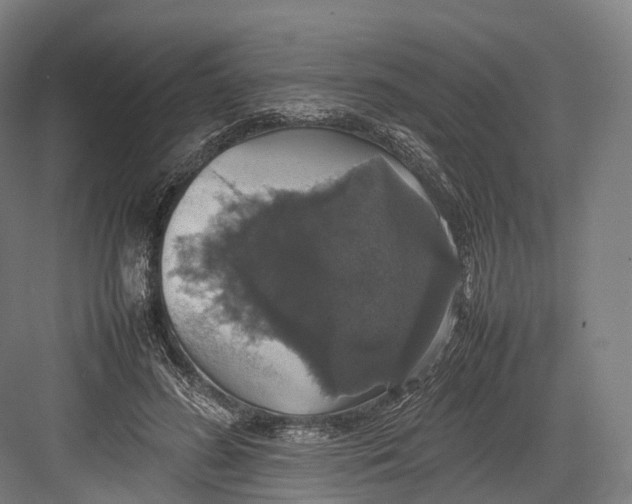 X0000082690596200702161726