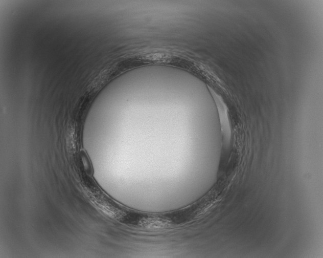 X0000082690597200702161726