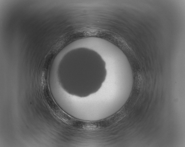 X0000082690598200702161726