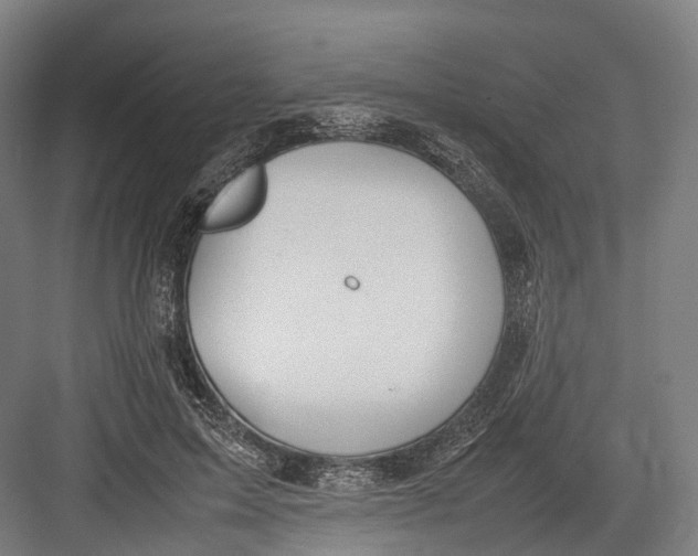 X0000082690599200702161726