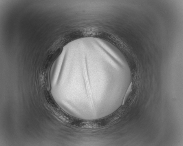 X0000082690601200702161726