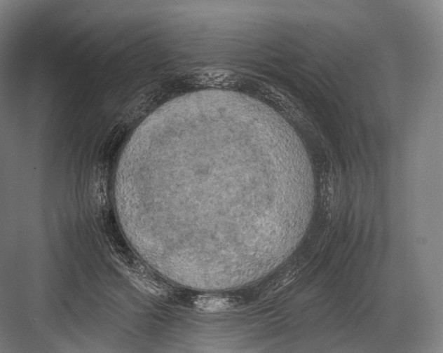 X0000082690602200702161726