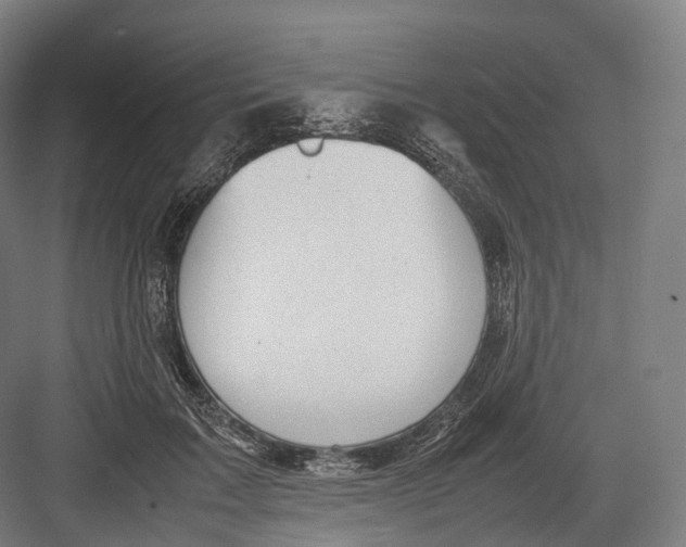 X0000082690603200702161726