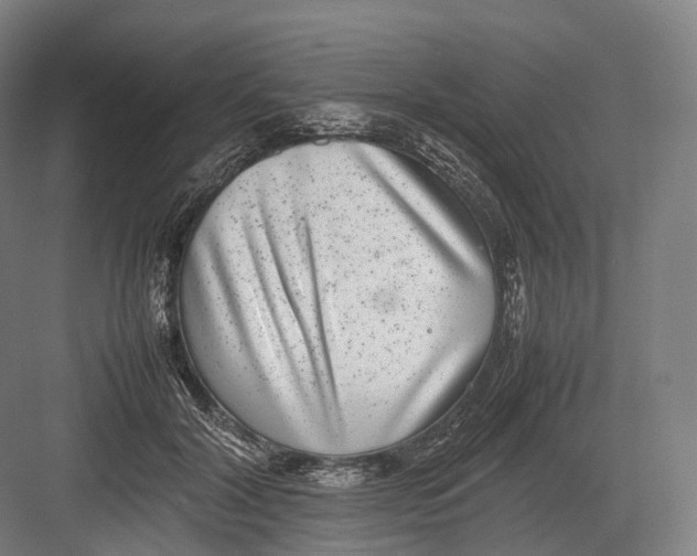 X0000082690604200702161726