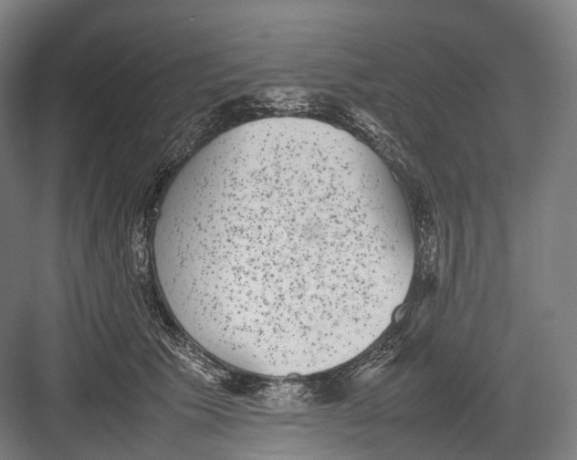 X0000082690609200702161726