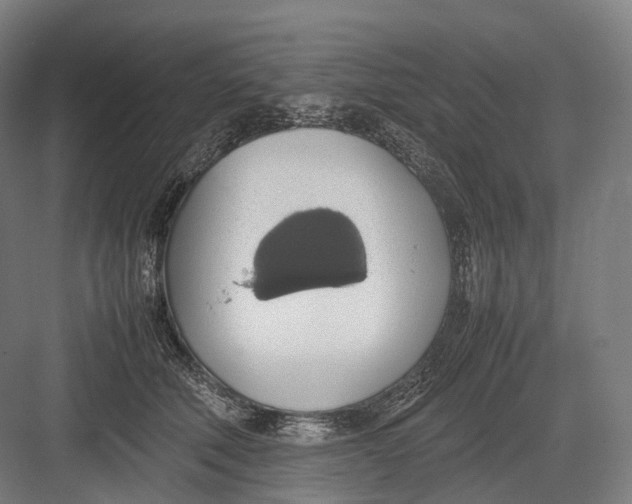 X0000082690610200702161726