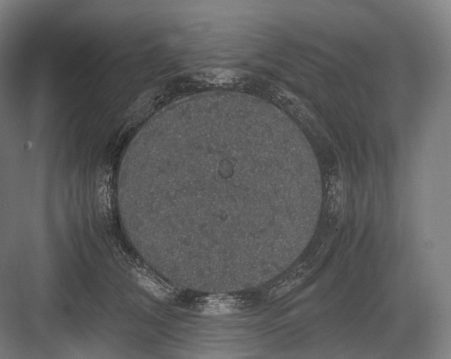 X0000082690612200702161726