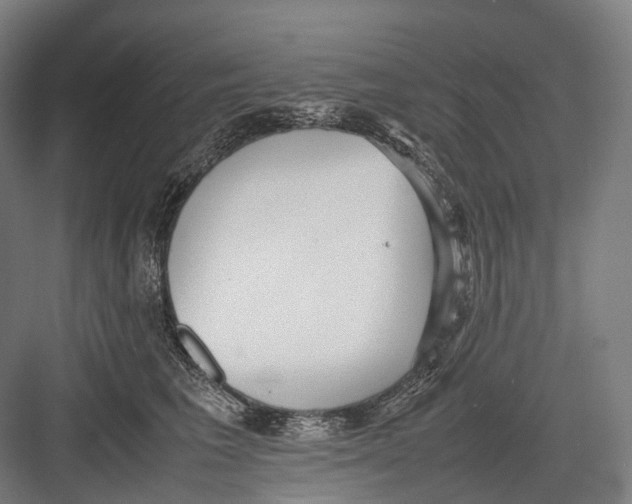 X0000082690613200702161726