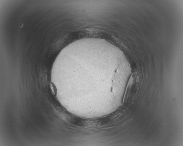 X0000082690615200702161726