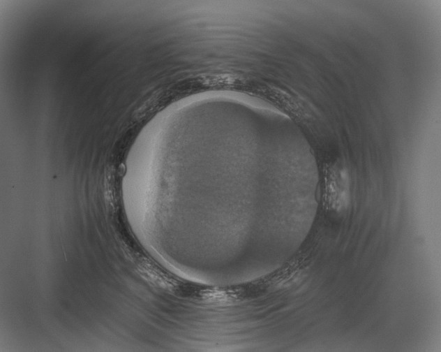 X0000082690616200702161726