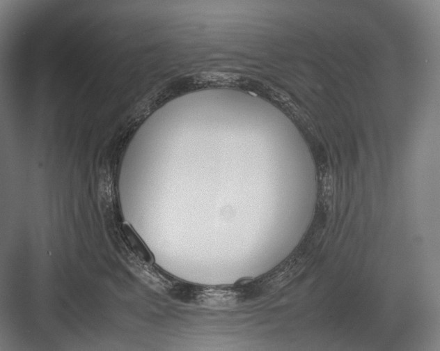 X0000082690617200702161726