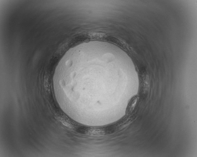 X0000082690619200702161726