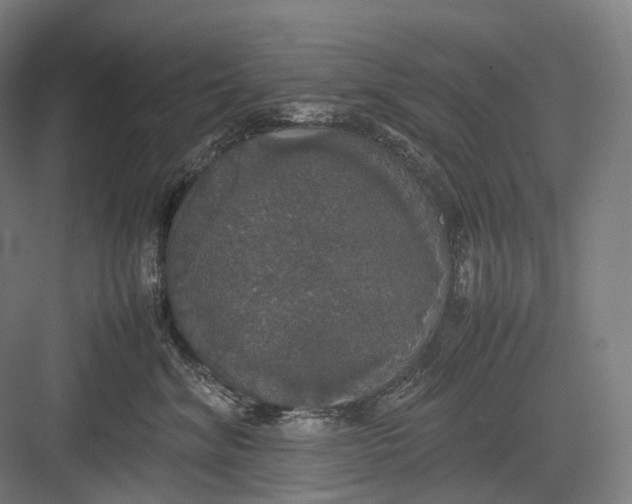 X0000082690620200702161726