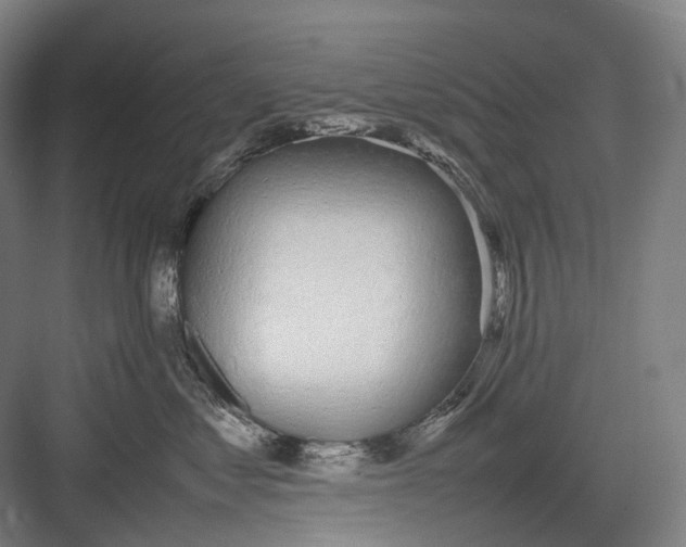 X0000082690621200702161725