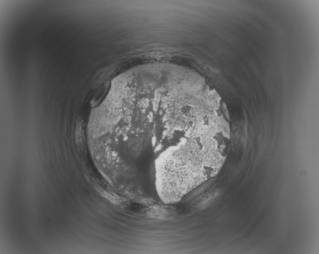 X0000082690623200702161725