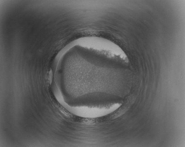 X0000082690624200702161725