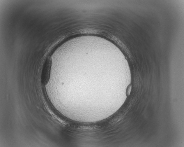 X0000082690625200702161725