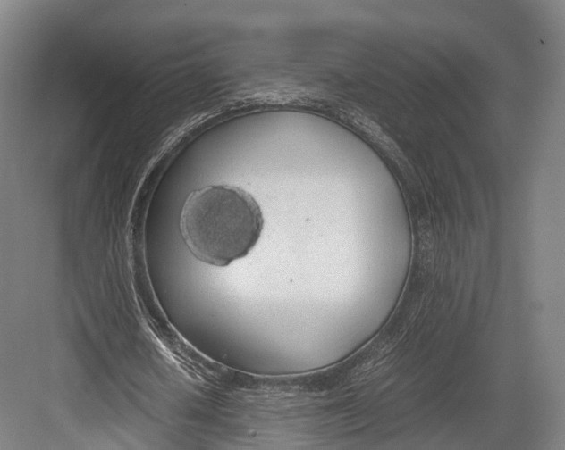 X0000082690626200702161725