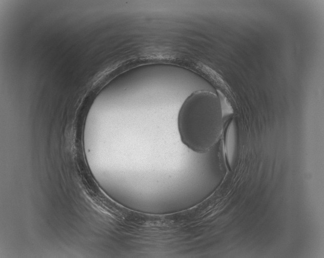 X0000082690627200702161725