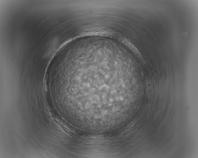 X0000082690628200702161725