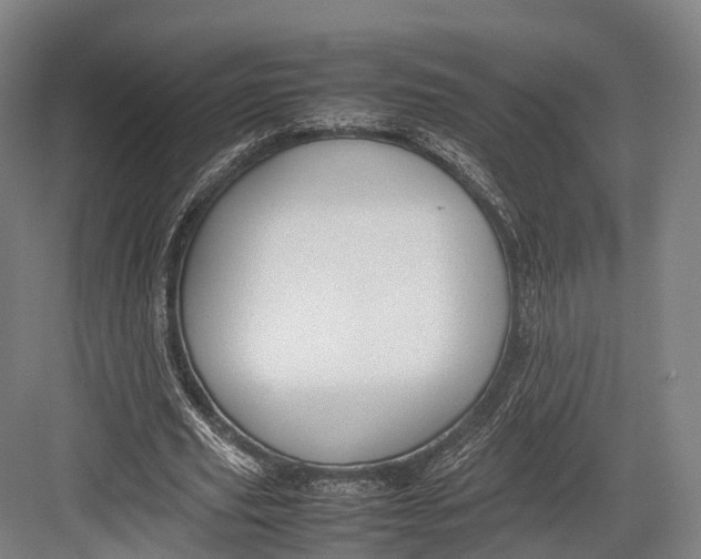 X0000082690629200702161725