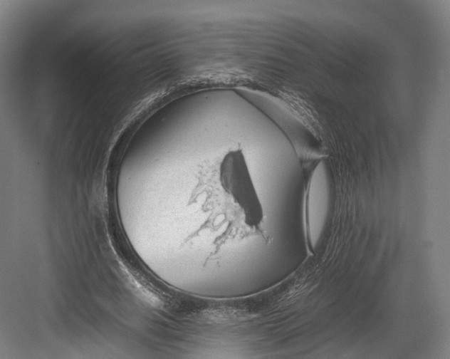 X0000082690630200702161725