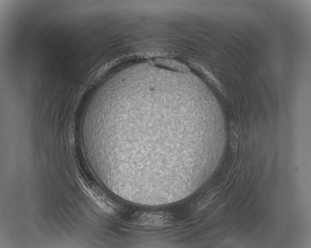 X0000082690631200702161725