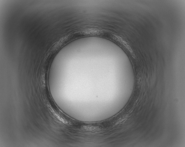 X0000082690633200702161725